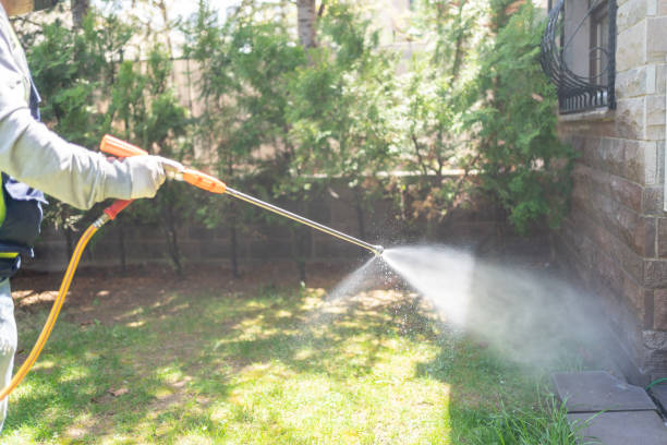 Outdoor Pest Control in Dearborn, MI